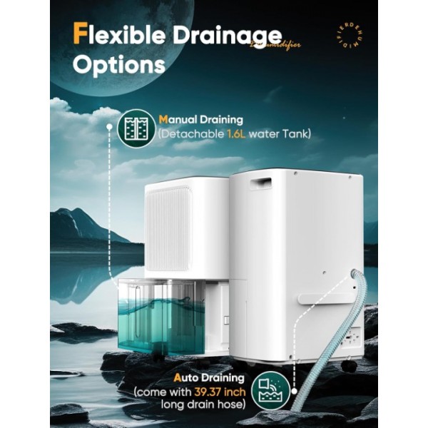 Dehumidifiers for Home Damp, Compressor Dehumidifier with Humidity Display&Control, Ultra Quiet, 24 Hour Timer, Water Tank & Drainage Hose, Ideal for Home/Basement/Office Damp, Laundry Drying