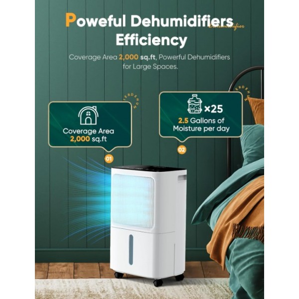 Dehumidifiers for Home Damp, Compressor Dehumidifier with Humidity Display&Control, Ultra Quiet, 24 Hour Timer, Water Tank & Drainage Hose, Ideal for Home/Basement/Office Damp, Laundry Drying