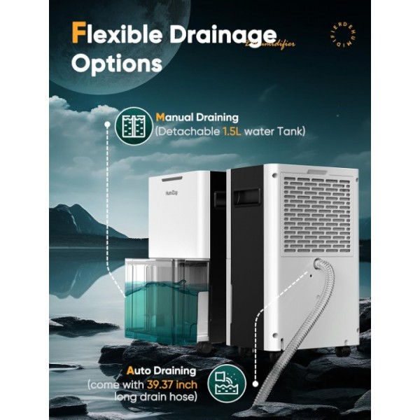 Dehumidifiers for Home Damp, Compressor Dehumidifier with Laundry Dry, Digital Humidity Display, Ultra-quiet, Energy-efficient, Continuous Drainage and 24 Hour Timer, Ideal for Damp, Laundry Drying
