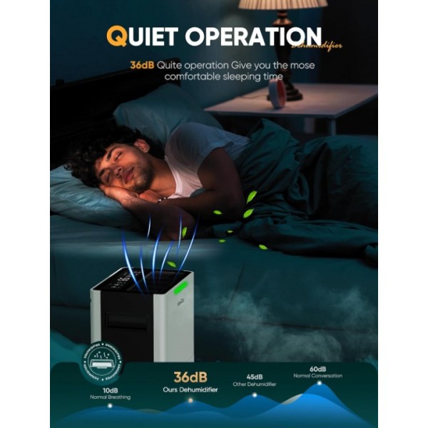 Dehumidifiers for Home Damp, Compressor Dehumidifier with Laundry Dry, Digital Humidity Display, Ultra-quiet, Energy-efficient, Continuous Drainage and 24 Hour Timer, Ideal for Damp, Laundry Drying